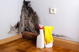 New Madison, OH Mold Inspection Company